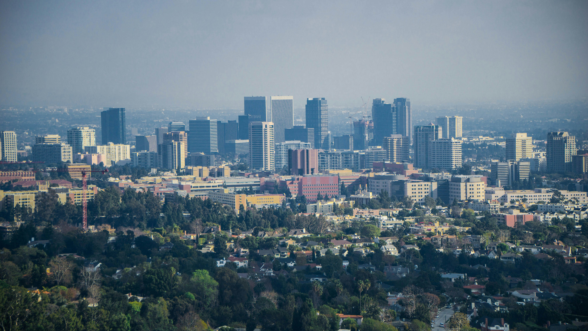 LA Downtown Starter Plan
